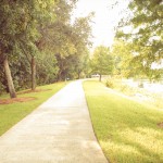 dsmy-pathway picture