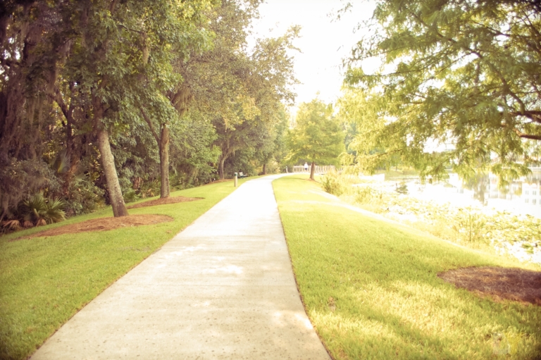 dsmy-pathway picture