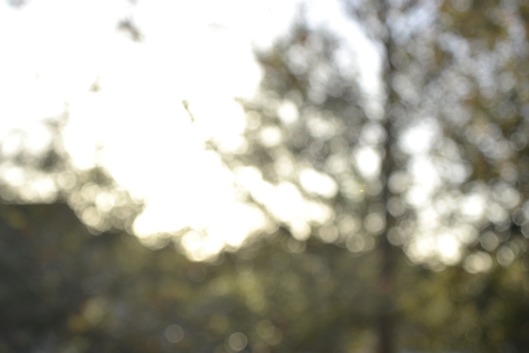 Sunny mornings by David Yarde