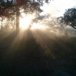 Camping Sunrise by David Yarde