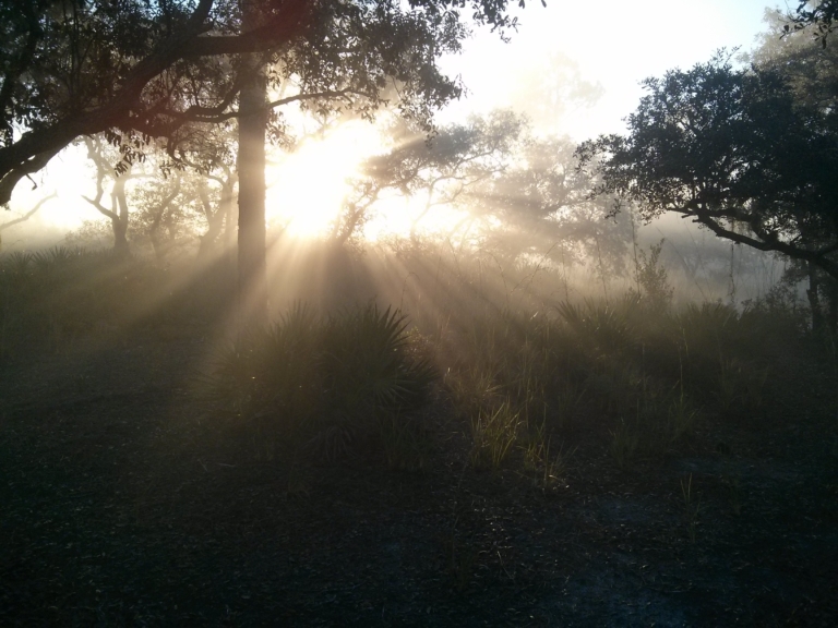 Camping Sunrise by David Yarde