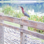 Stop Stopping You Image by David Yarde